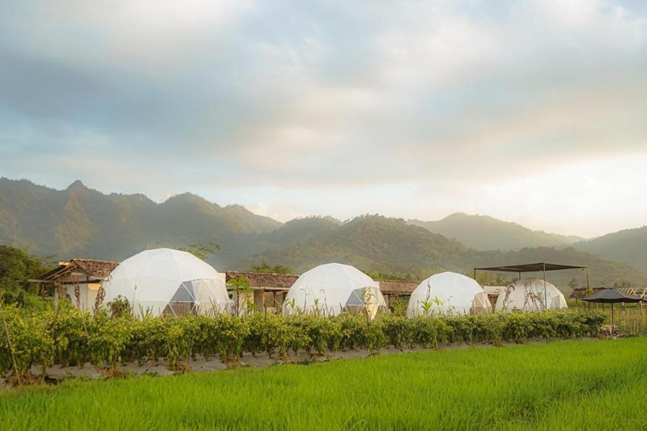 Borobudur Luxury Glamping Маґеланґ Екстер'єр фото