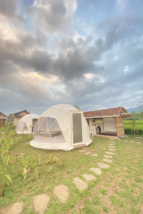 Borobudur Luxury Glamping Маґеланґ Екстер'єр фото